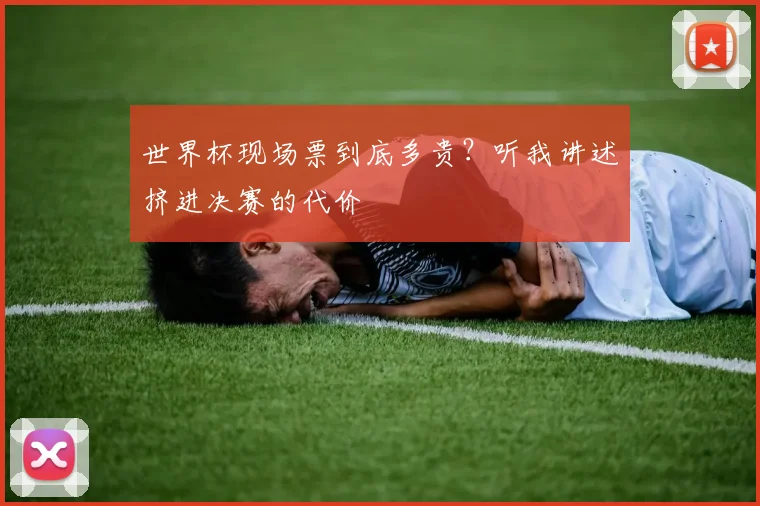世界杯现场票到底多贵?听我讲述挤进决赛的代价