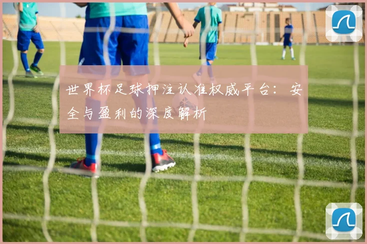世界杯足球押注认准权威平台：安全与盈利的深度解析