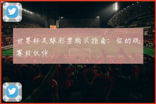 世界杯足球彩票购买指南：你的观赛好伙伴