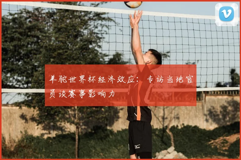 羊驼世界杯经济效应:专访当地官员谈赛事影响力