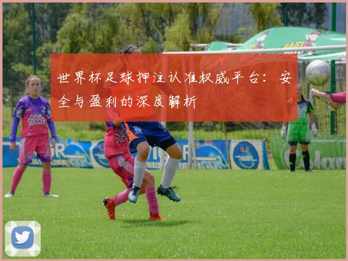 世界杯足球押注认准权威平台：安全与盈利的深度解析