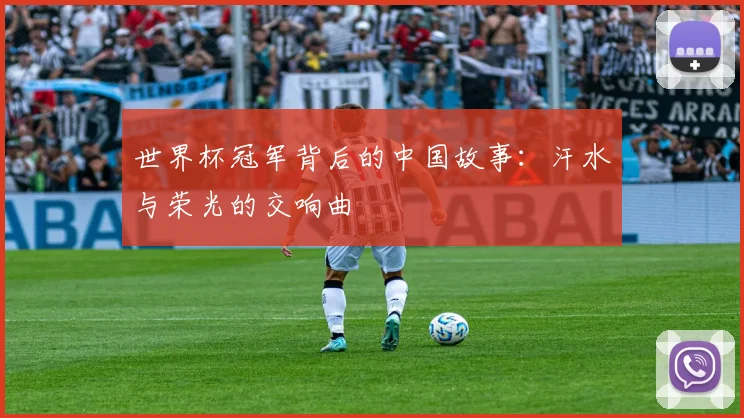 世界杯冠军背后的中国故事：汗水与荣光的交响曲