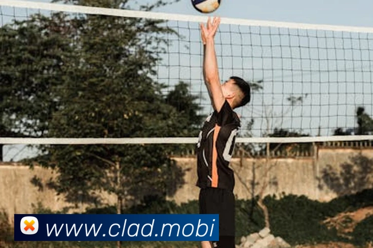 开云在线官方网站APP 体育赛事宣传图